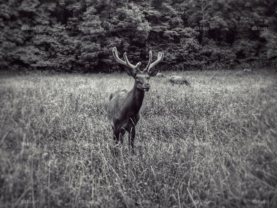 well in the mountains