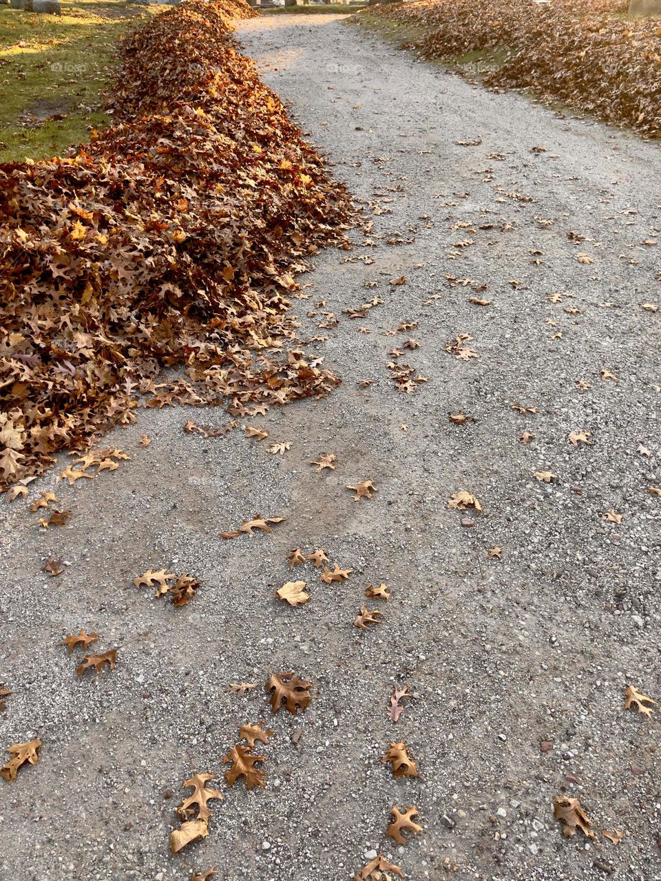 Late Fall autumn leaves piled on side of winding gravel footpath trail, perspective, concept, room for text 