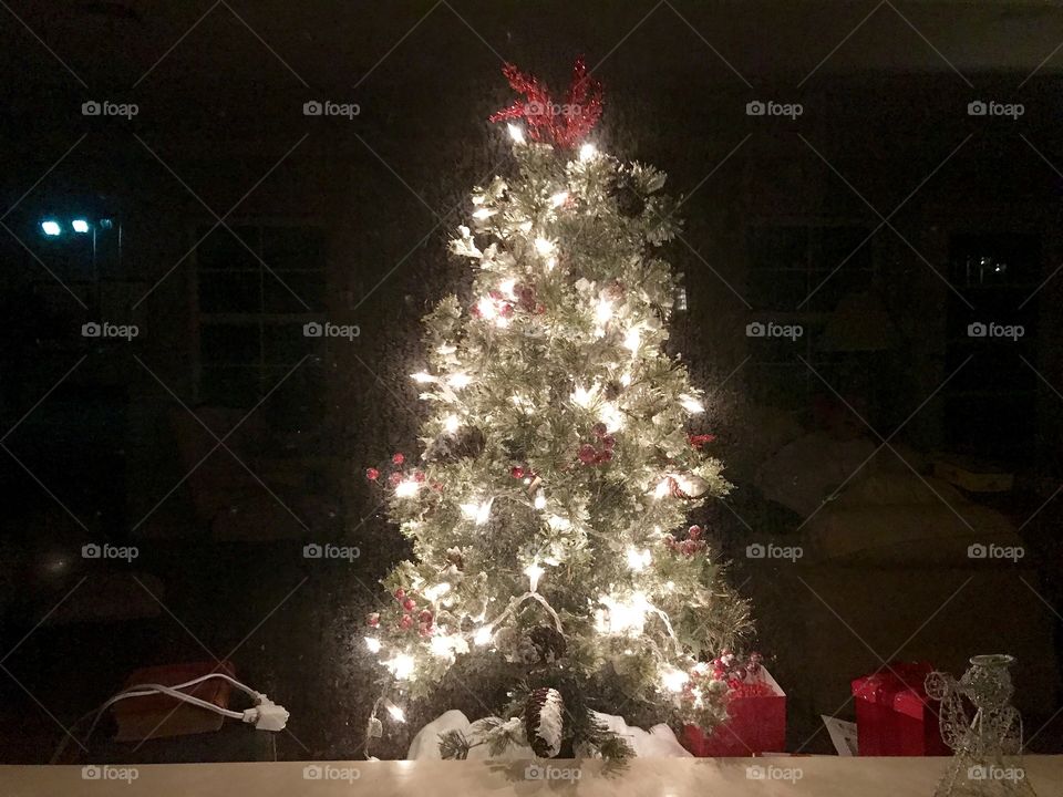 Christmas tree in a window