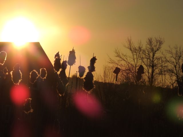 Light at the end of the day
