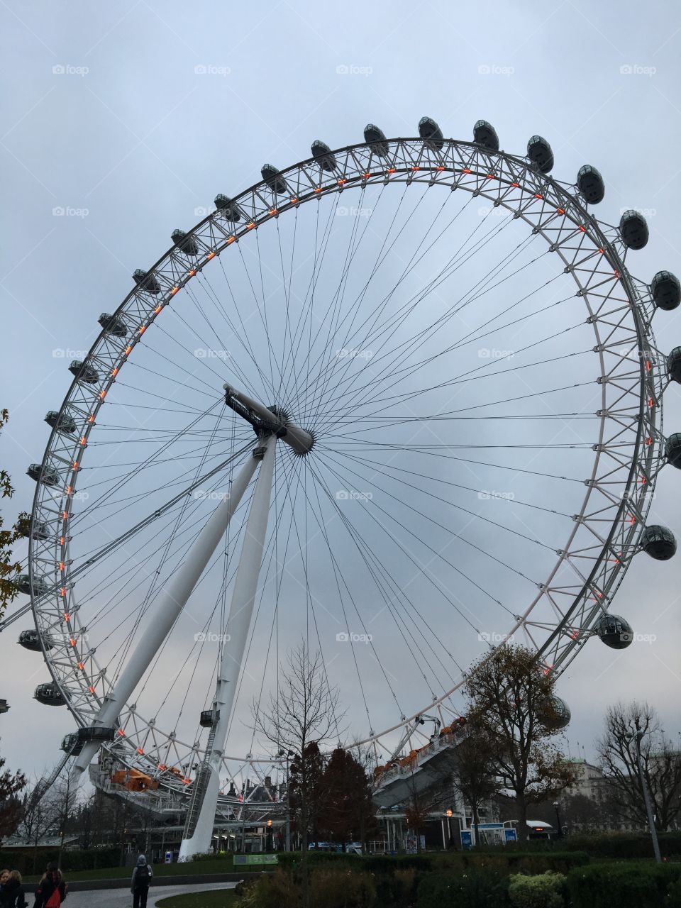 The London eye 