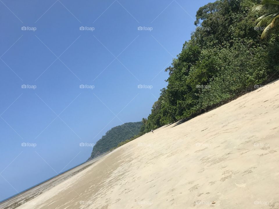 Beach-sand, forest, sky