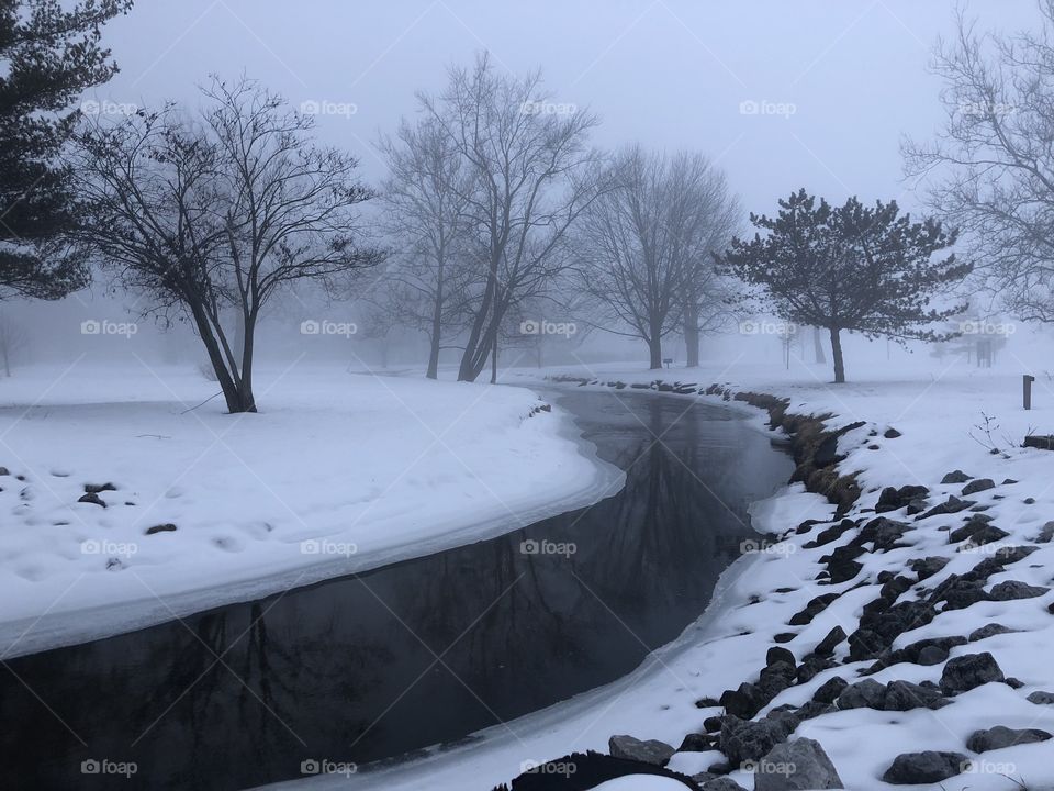 Gorgeous Winter, Bethany Park. 