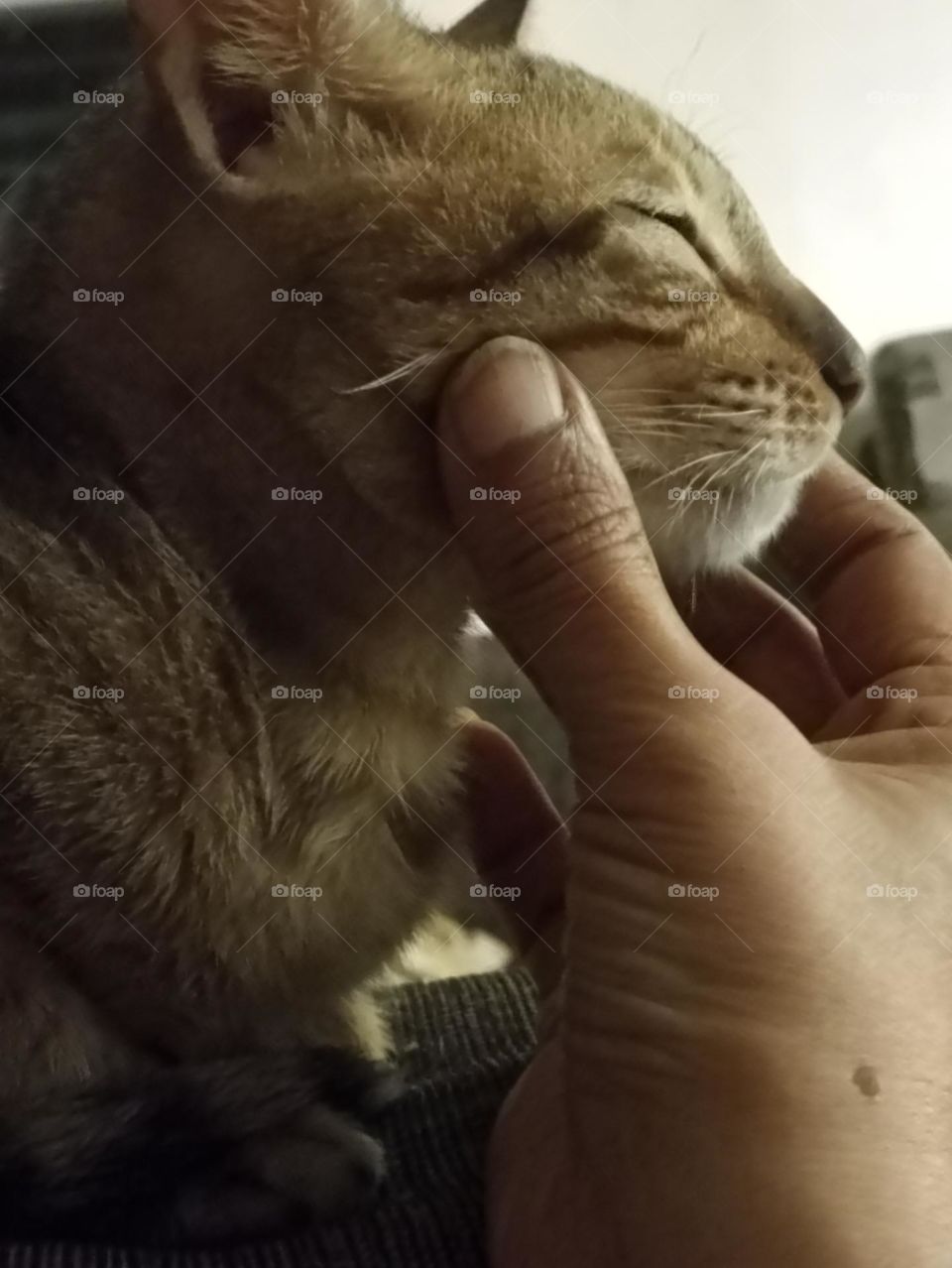 care love all fo.r me