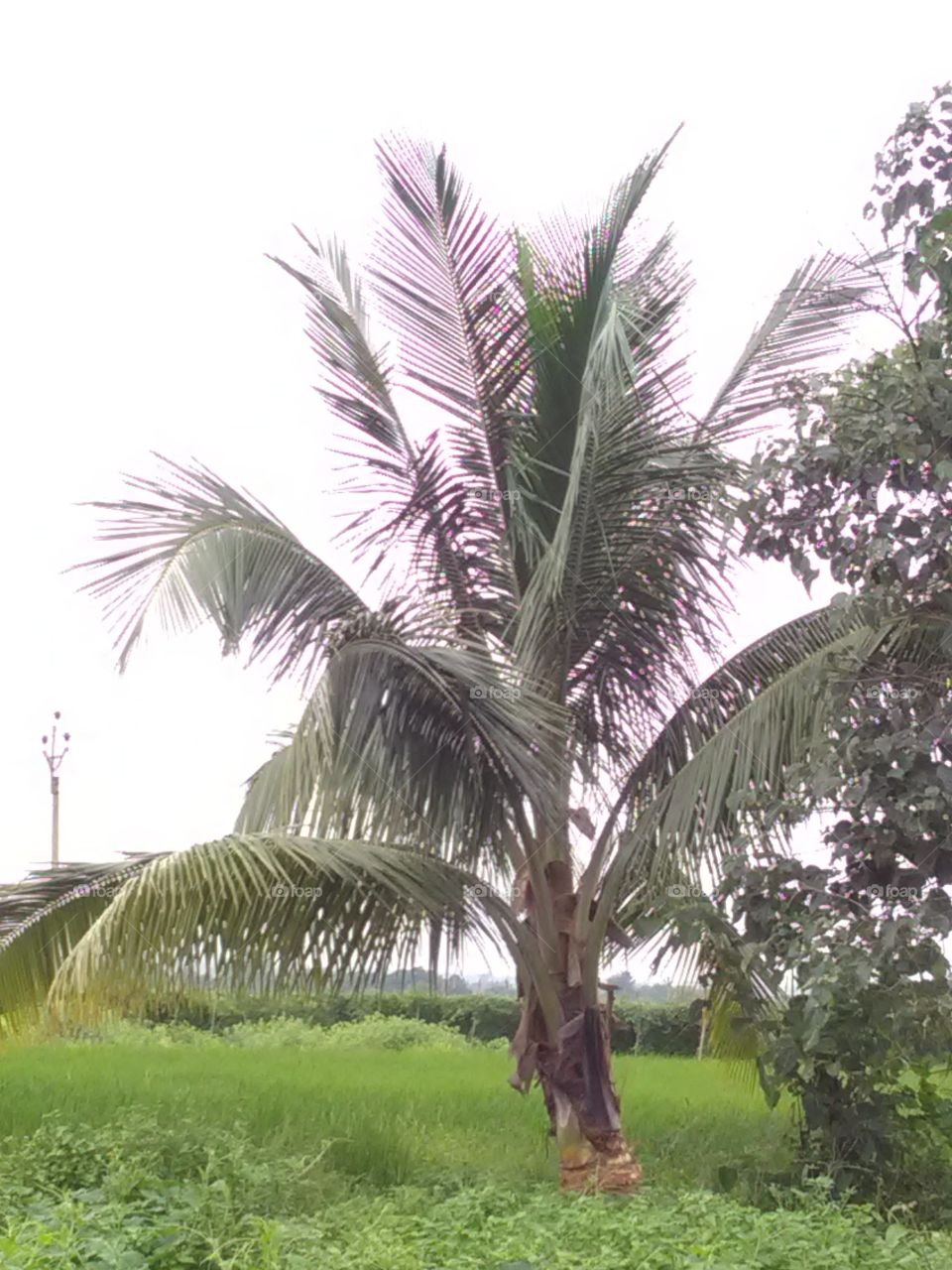 The Garden is the beginning of our daily routine, the Garden feels like it is the experience of Santa.