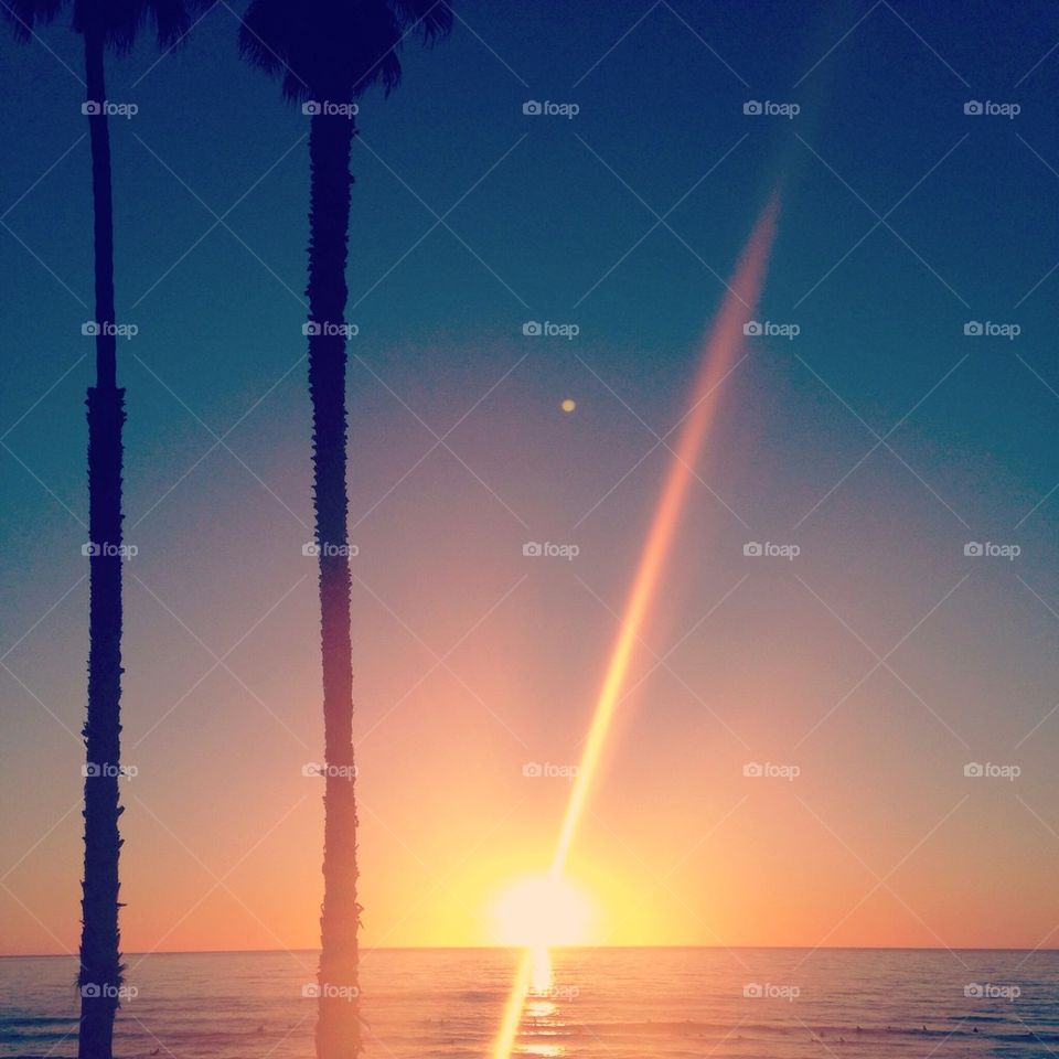 beach sunset palm tree united states by isabella.c.distefano