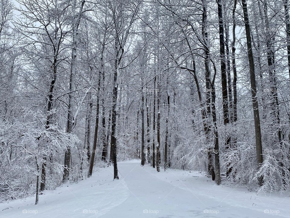 Snow covered path