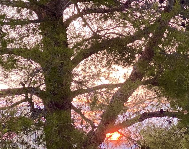 Sunrise 