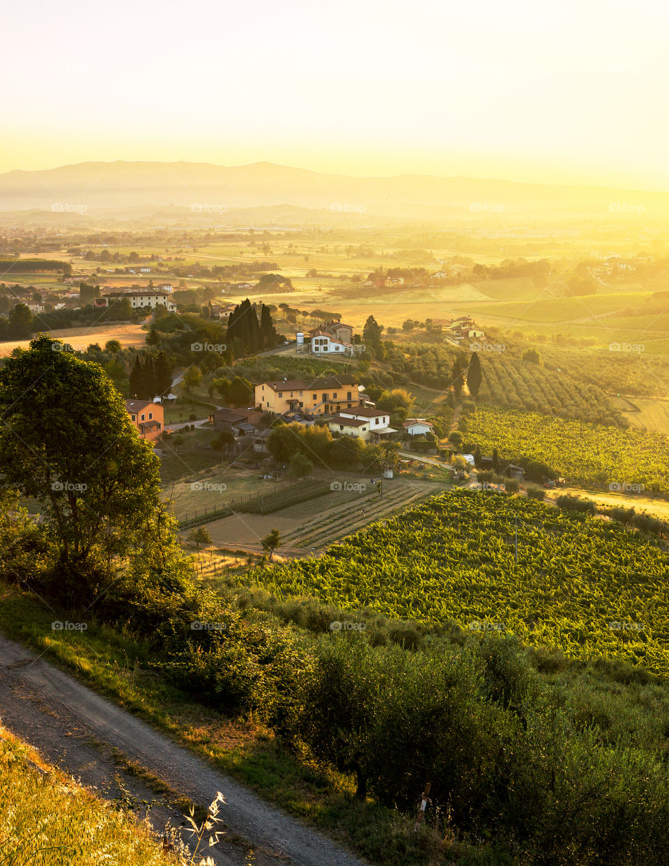 Tuscany & Marche