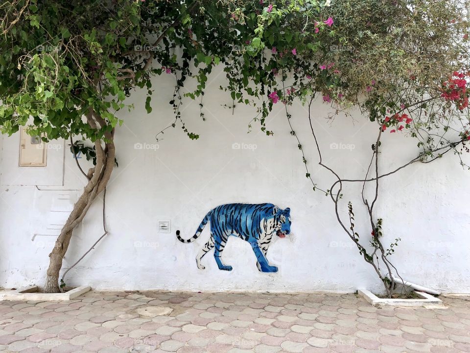 Street art Djerba