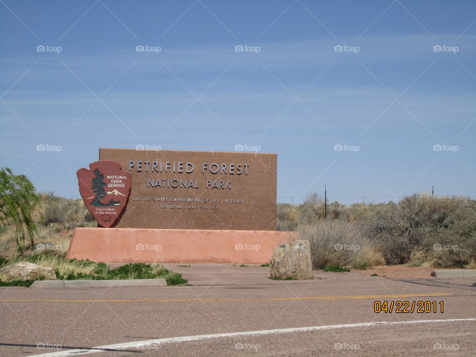 Petrified Forrest 