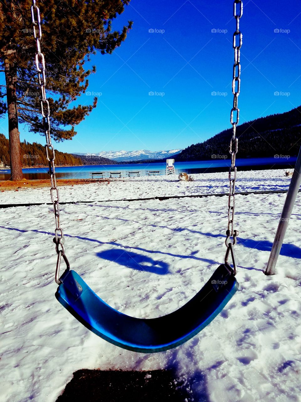 swing with me