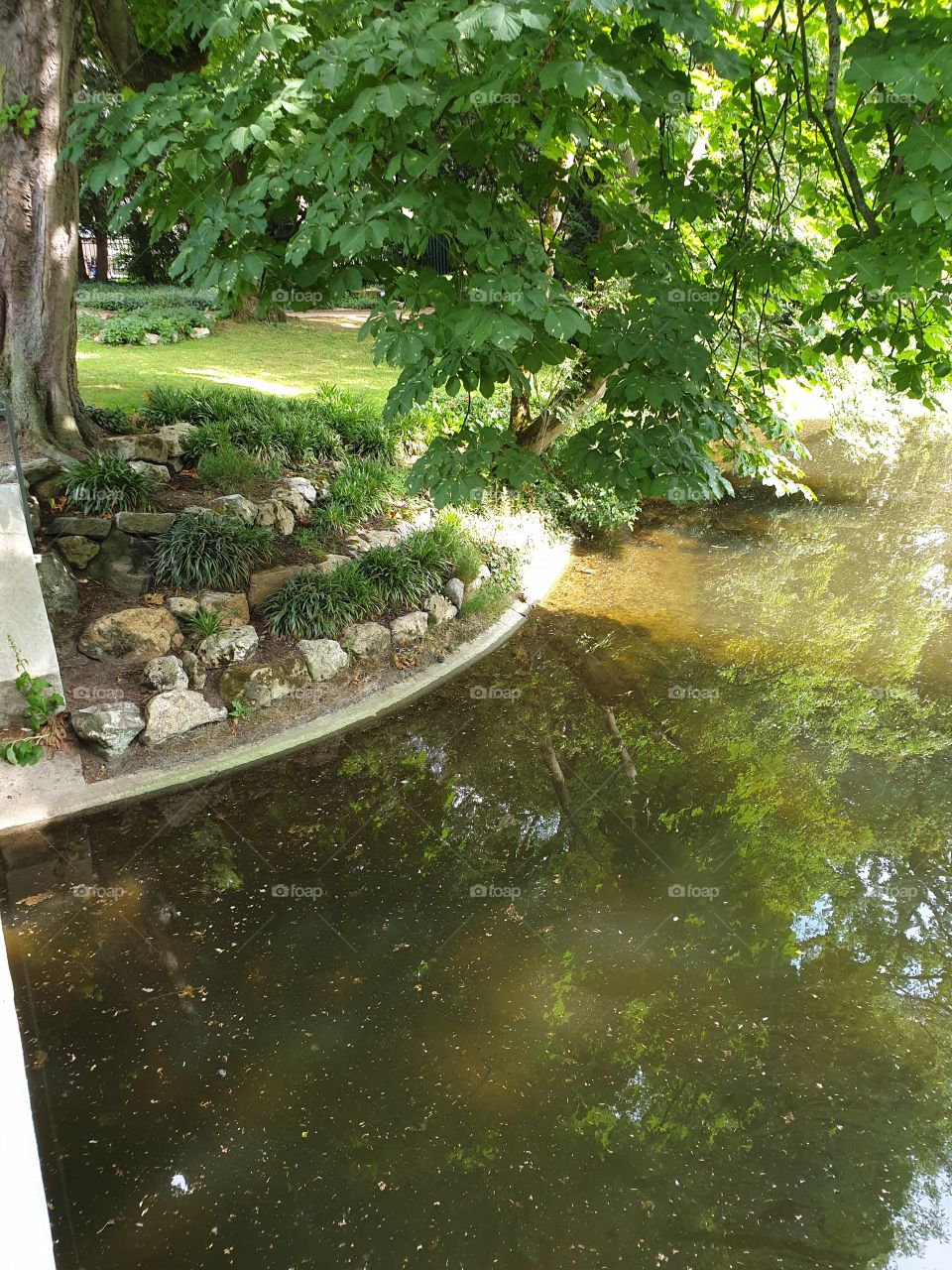 Palmengarten Frankfurt