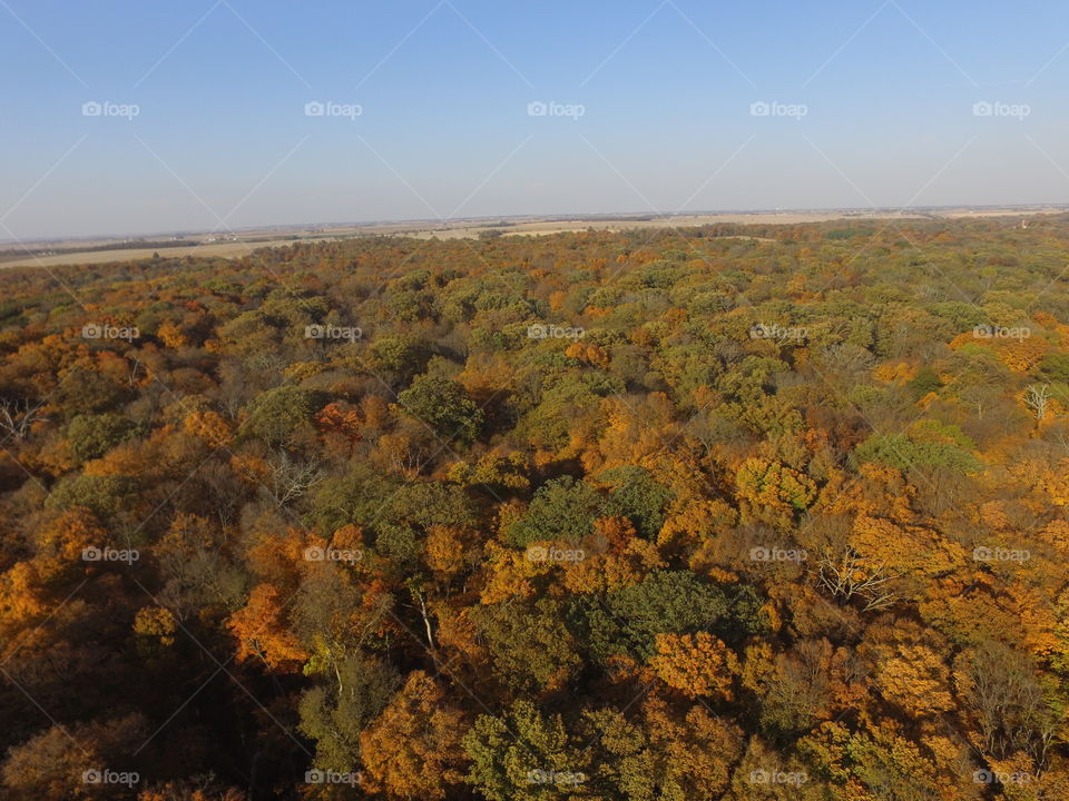 Skyline from the sky 