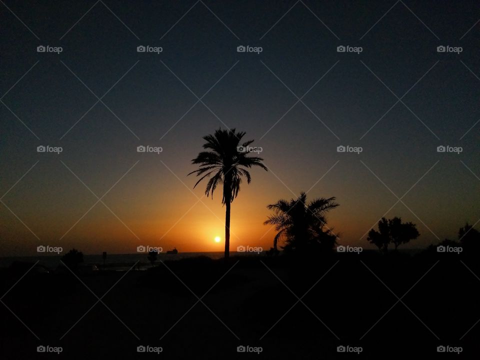 Sunset, No Person, Sun, Dusk, Beach