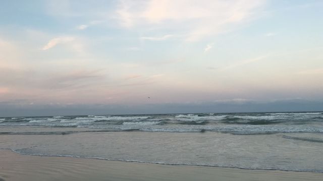 Daytona beach. 