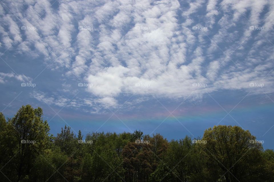 Clouds above a Circumzenithal arc