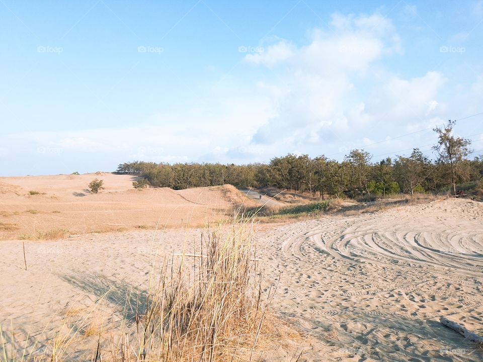The Paoay Sand Dunes