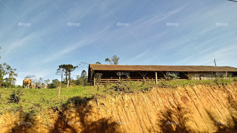 NATURE COUNTRYSIDE RURAL