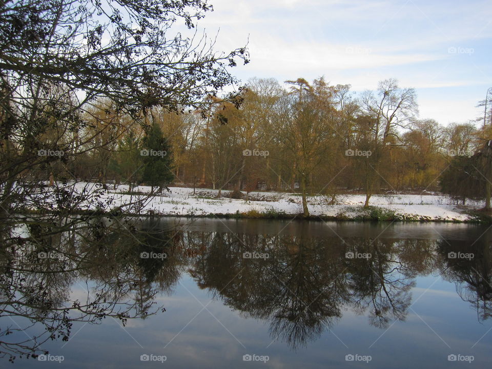 Reflections In Winter