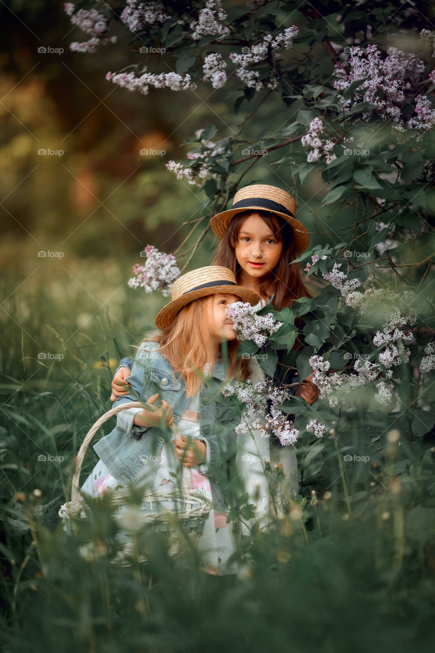 Little sisters in a hat near blossom lilac tree at sunset 