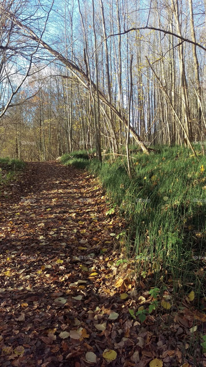 Walking in nature, Marmorbruket, Kolmården