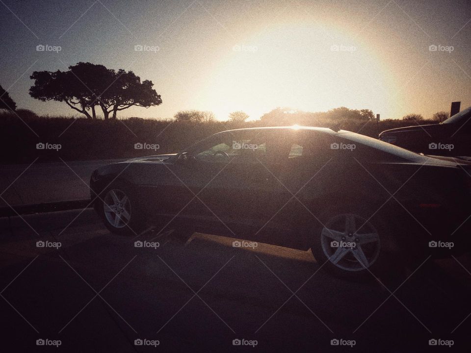 5th Generation camaro in vintage photo style with a beautiful morning sun rising with a field and oak tree in the background.