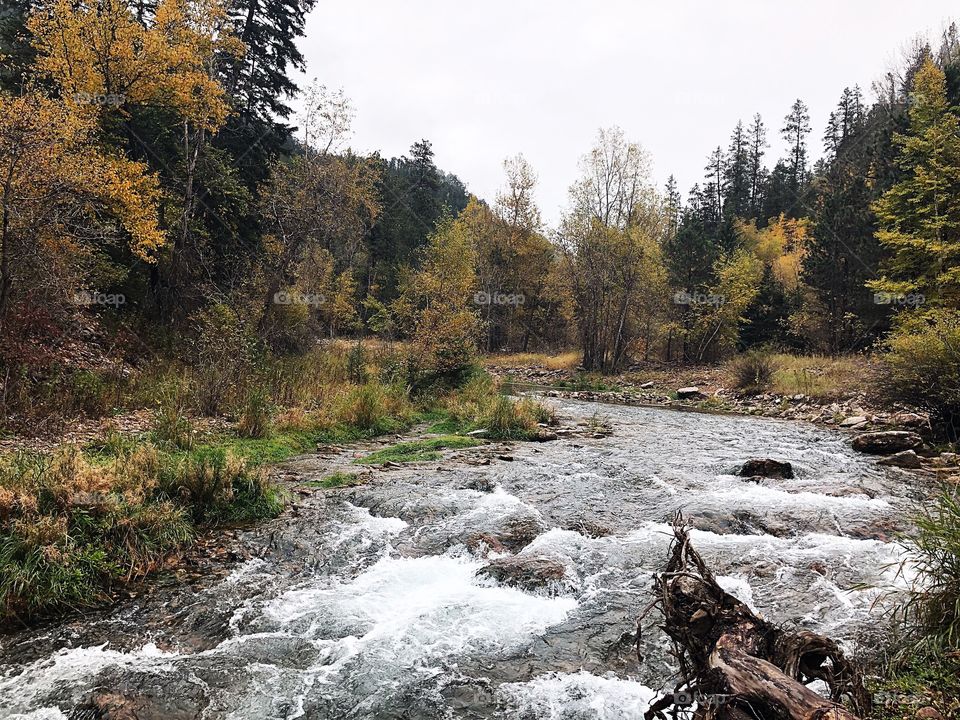 river in fall colors 