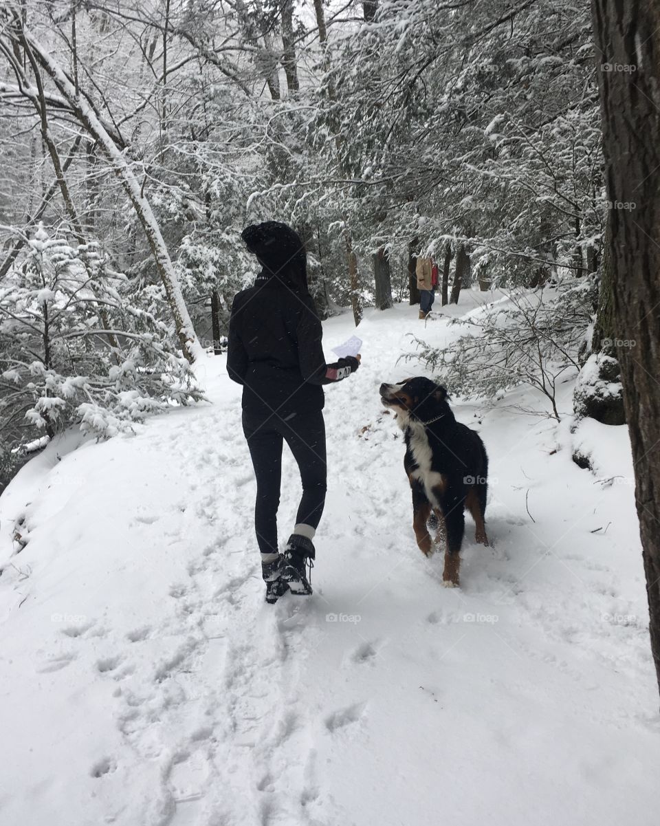 Girl and her dog in the snow