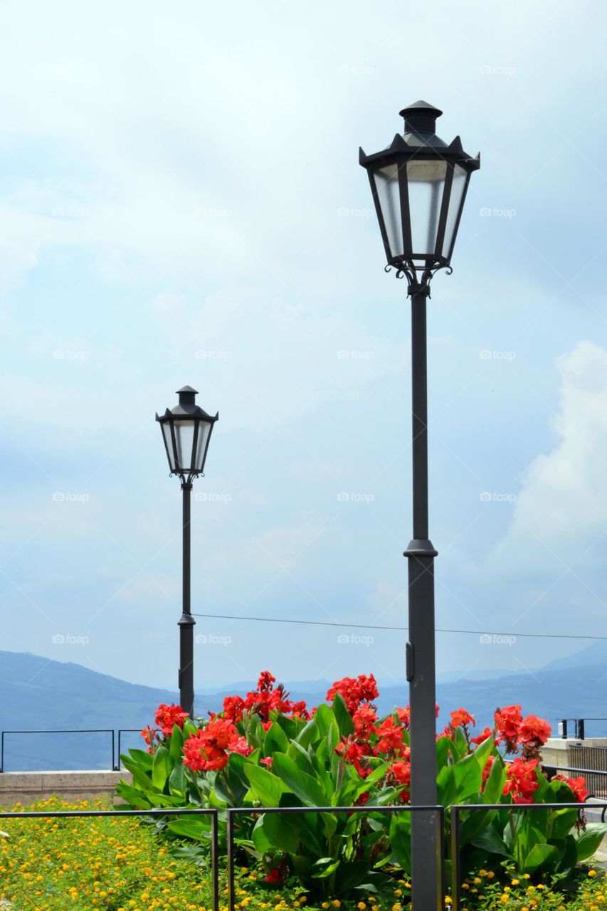 Lampposts and red flowers