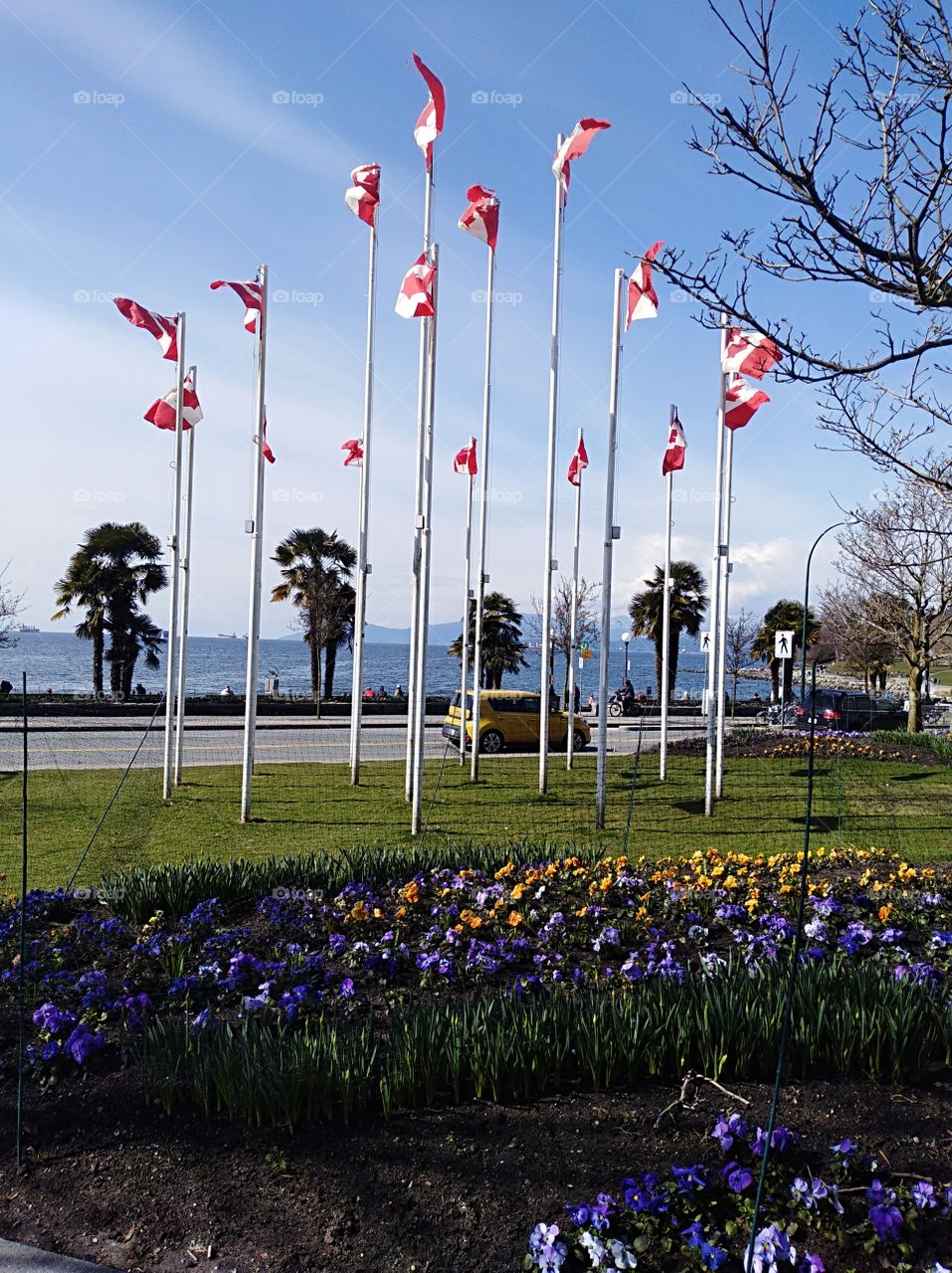 Flags on English Bay