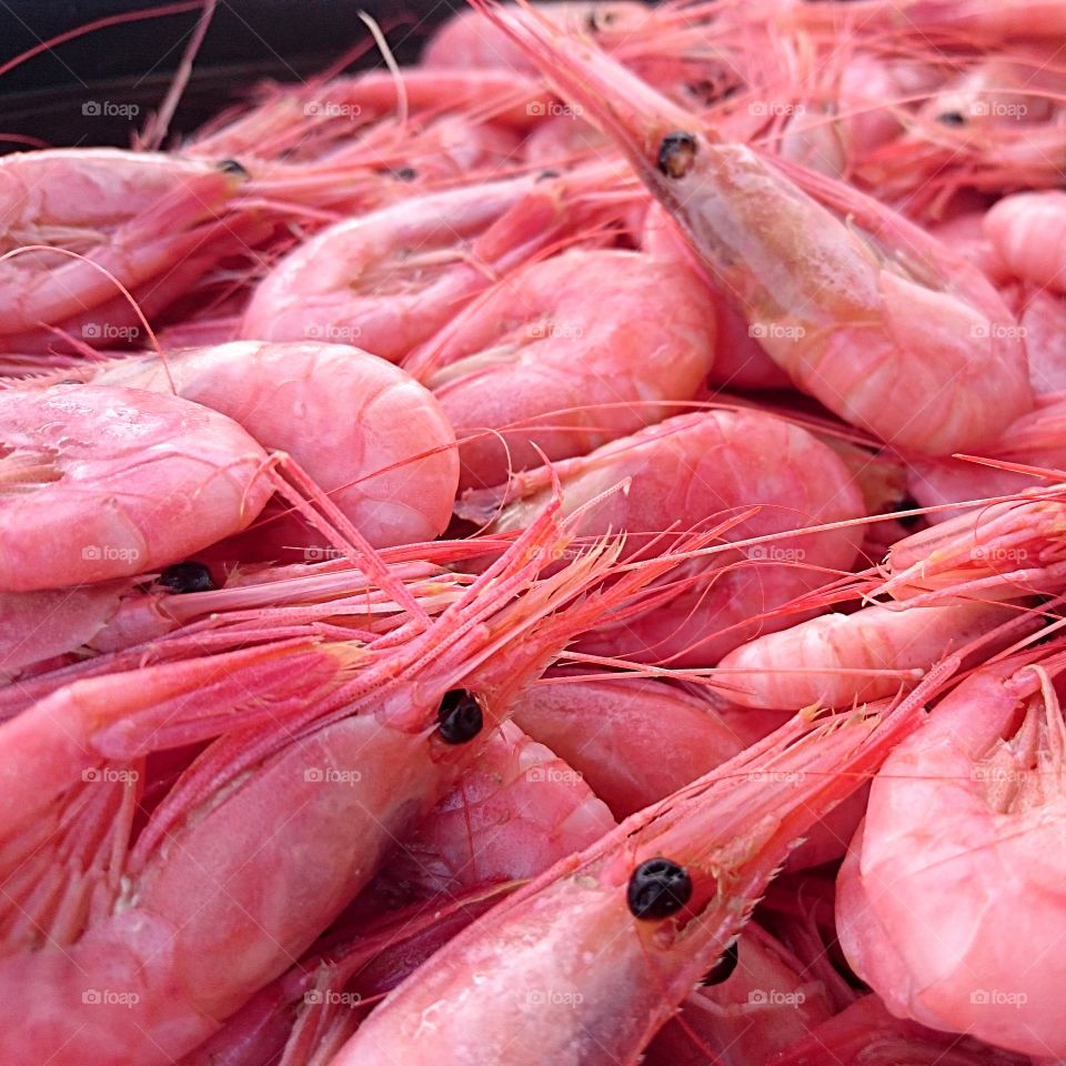 Shrimps in closeup. Closeup of fresh shrimps