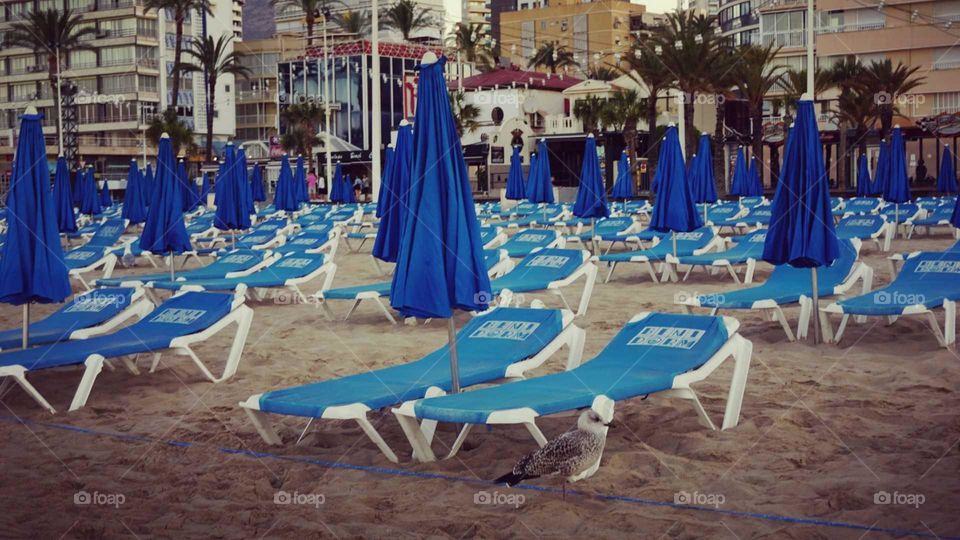 Sunbeds#parasols#advice#blue