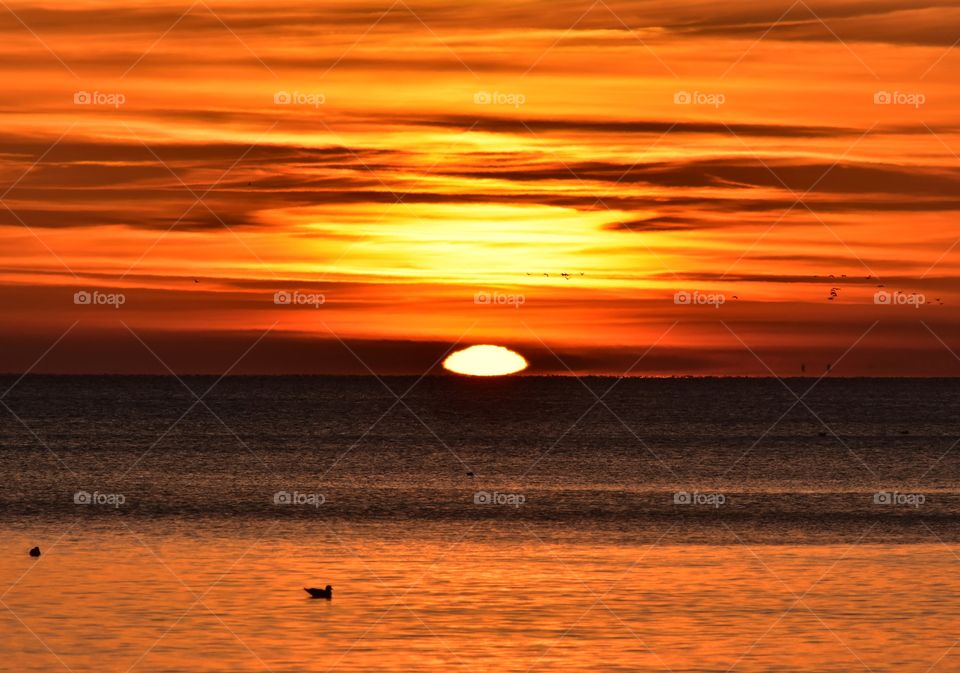 Sunset, Dawn, Sun, Water, Sea