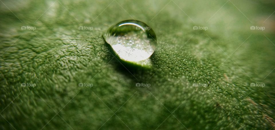 water drop