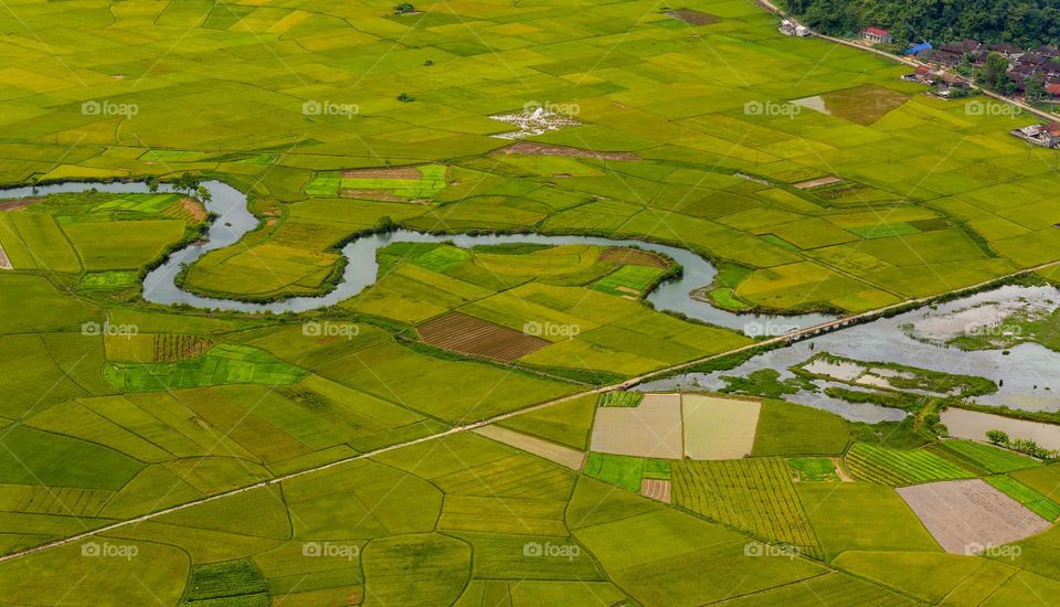 Bac Son rice valley in harvest season. 
Bac Son rice valley in Lang Son,  Vietnam is one of ten beautiful rice valley in the world