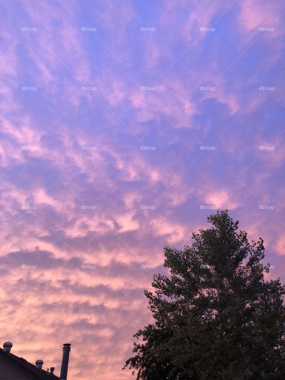 Pink skies