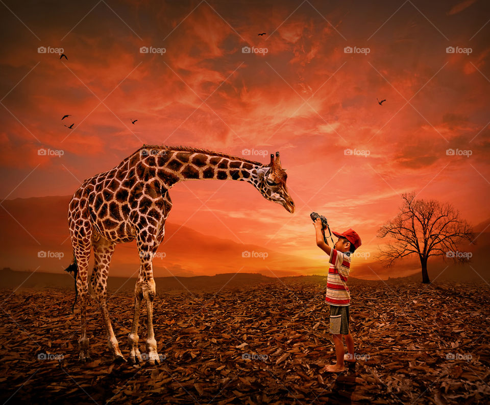 playing with giraffe