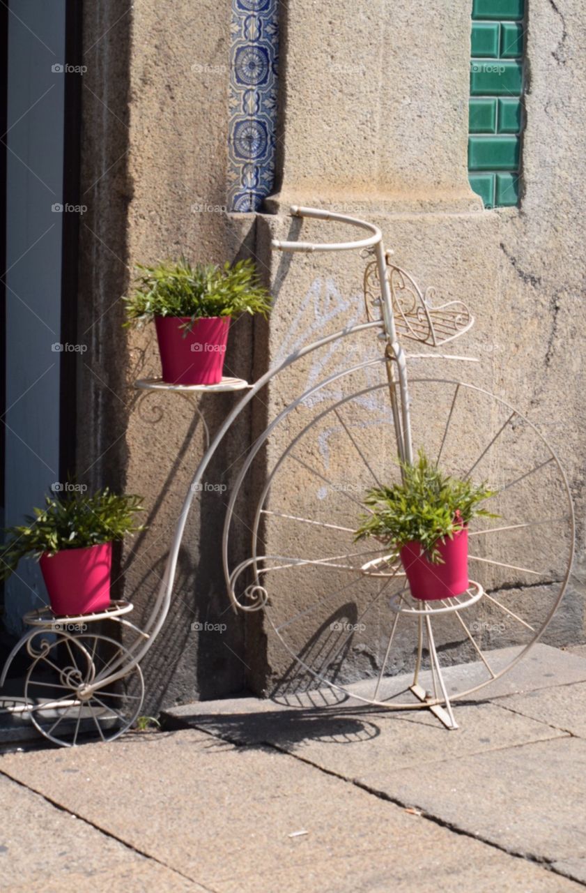 Old bicycle 