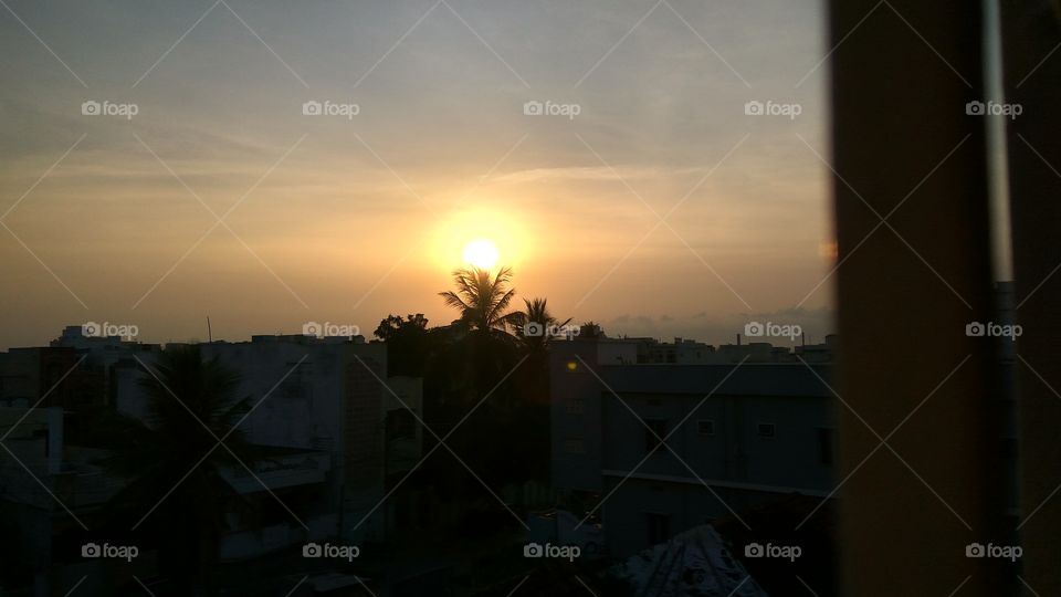 Lovely foggy morning