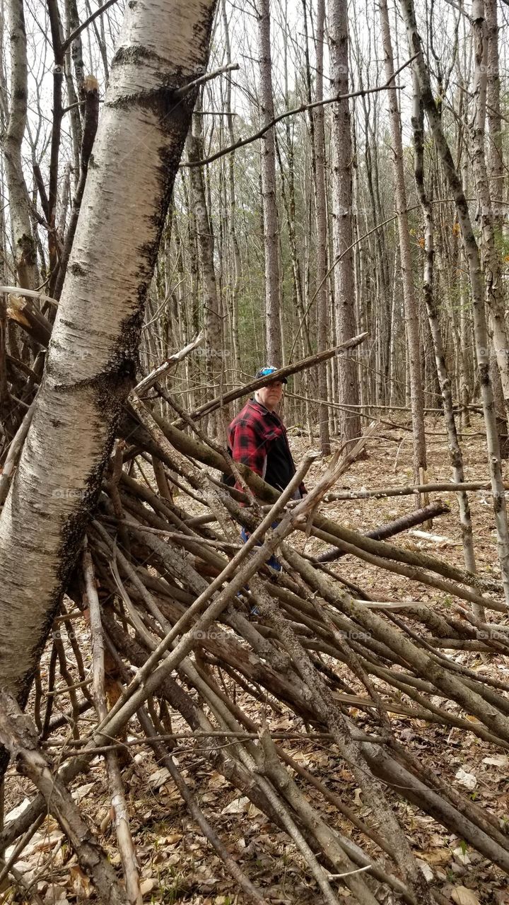 Hiking In The Woods