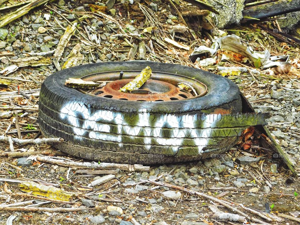 Old Shelton Railroad