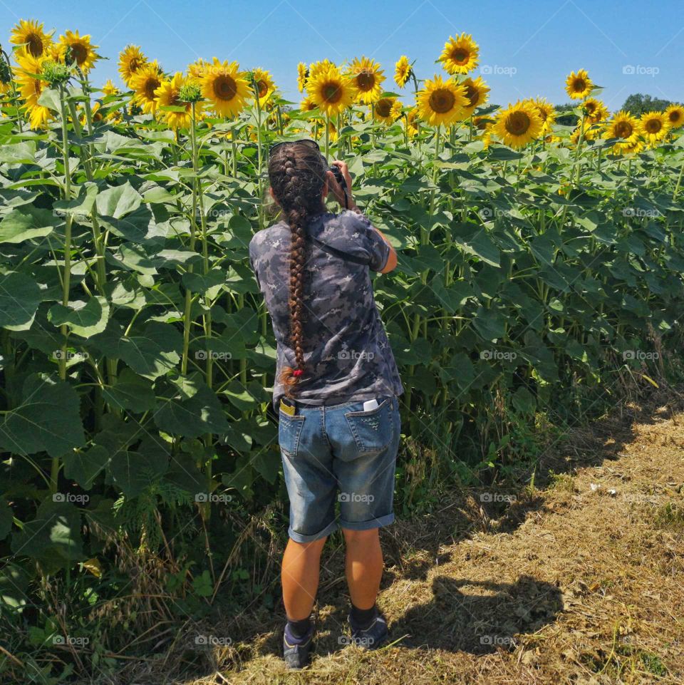 In the field of the sun