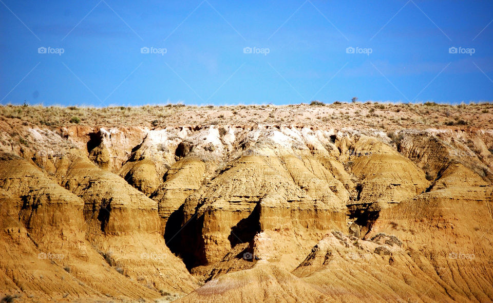 desert petrified arizona by refocusphoto