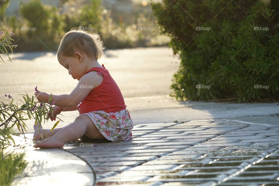 Toddler Girl Outside During Golden Hour