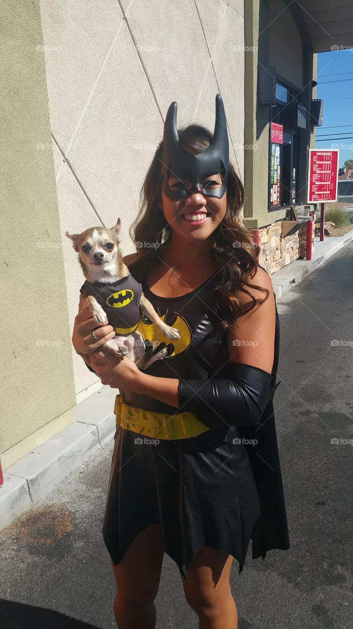 batman dog