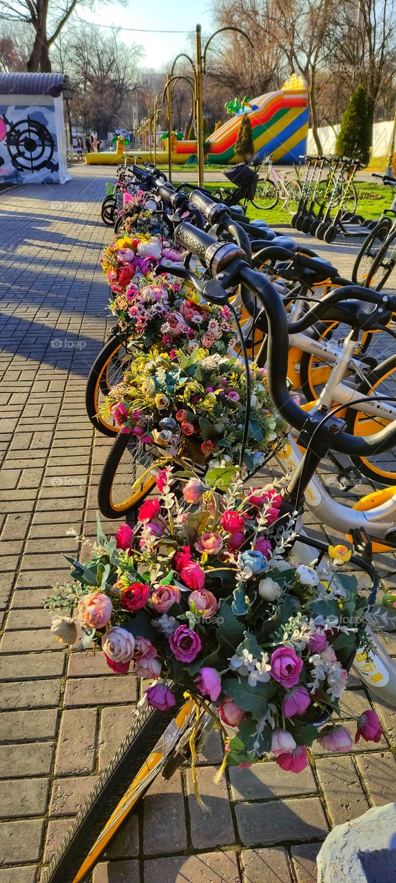 forest, park, nature, bicycles, flowers