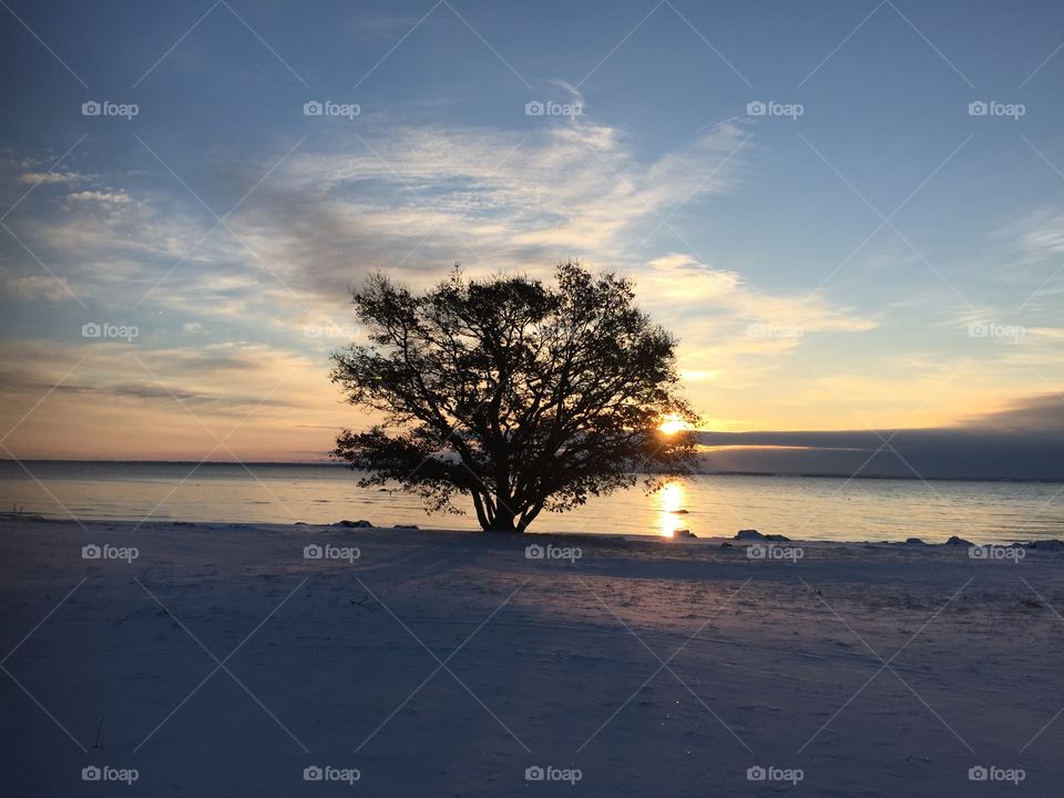 Scenic view of sea during sunset