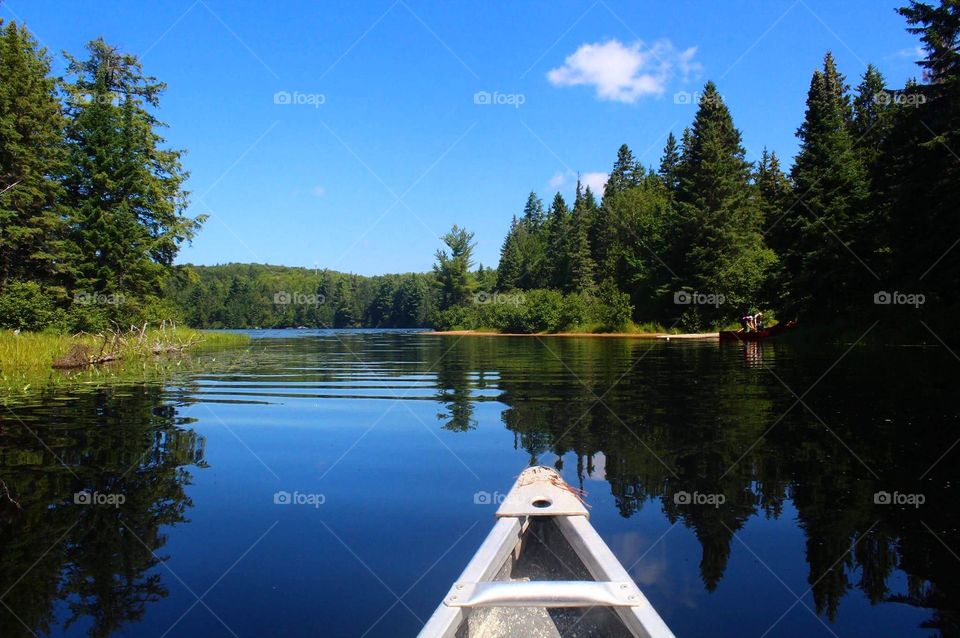 Summer Days... This is one of my favourite photos taken on one of my yearly trips to Algonquin Provincial Park 