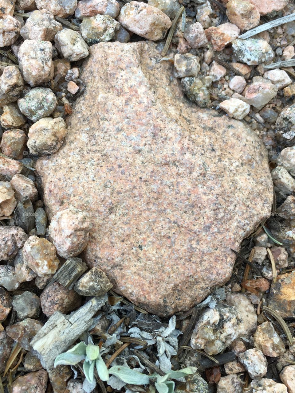 Texas Shaped Rock